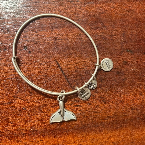 Alex and ani braclet - Picture 1 of 1